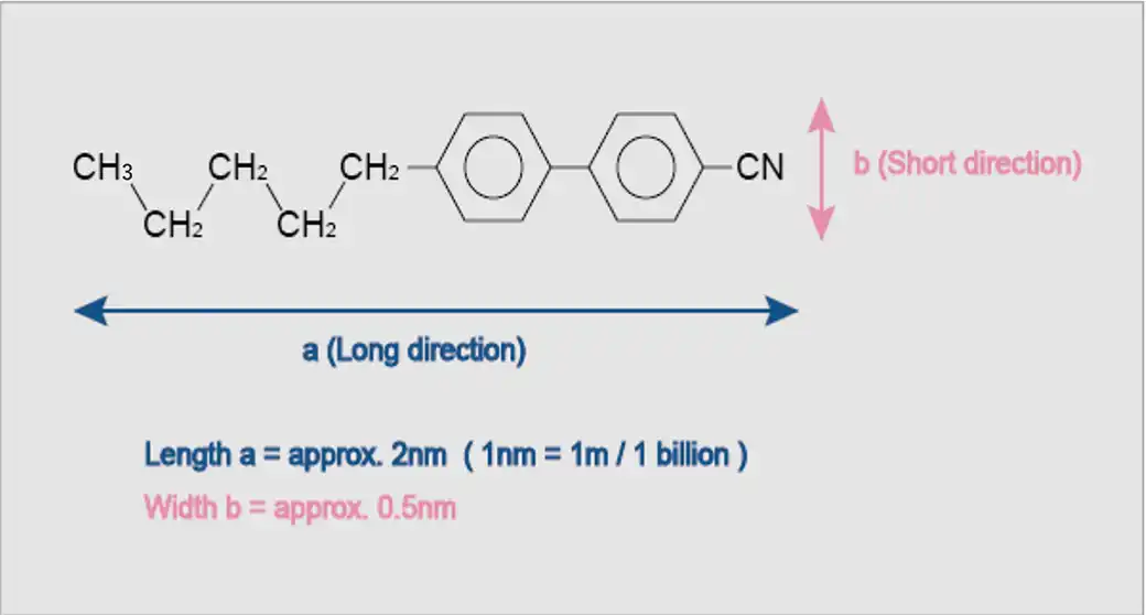 An Example of a Liquid Crystal Molecule