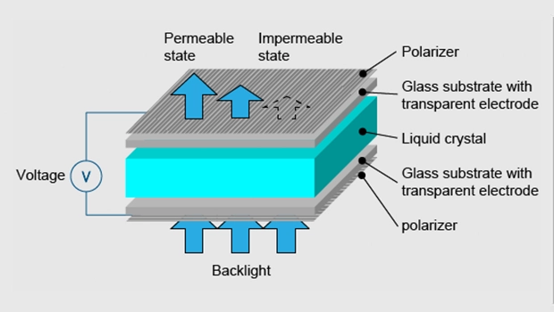 Working Principle of an LCD